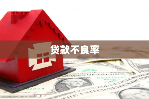 台西贷款不良率