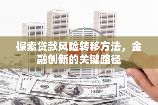 武山探索贷款风险转移方法，金融创新的关键路径