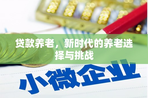 邯山贷款养老，新时代的养老选择与挑战