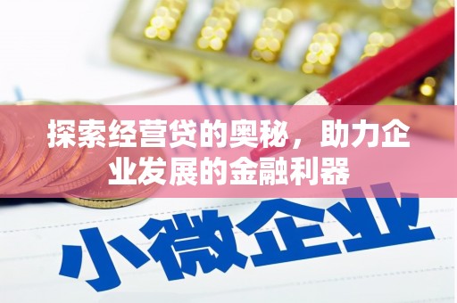 泰来探索经营贷的奥秘，助力企业发展的金融利器