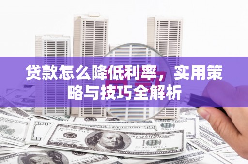 杂多贷款怎么降低利率，实用策略与技巧全解析