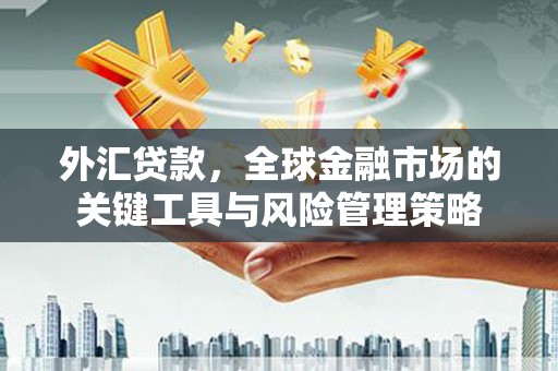淄博外汇贷款，全球金融市场的关键工具与风险管理策略