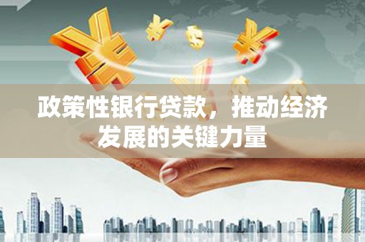 宿豫政策性银行贷款，推动经济发展的关键力量