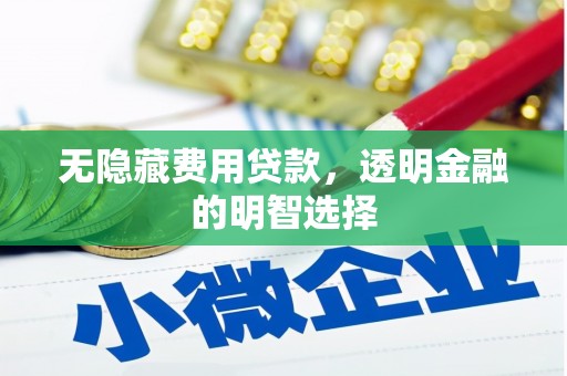 双桥无隐藏费用贷款，透明金融的明智选择