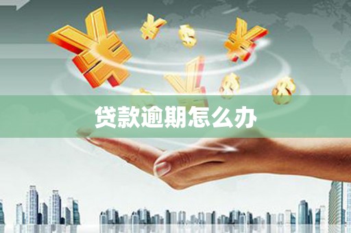 疏附贷款逾期怎么办