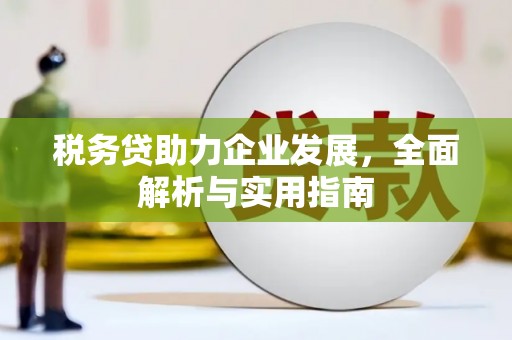 保税港区税务贷助力企业发展，全面解析与实用指南