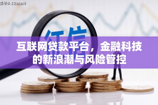 多伦互联网贷款平台，金融科技的新浪潮与风险管控