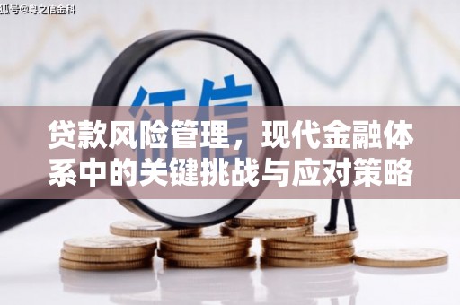 嫩江贷款风险管理，现代金融体系中的关键挑战与应对策略