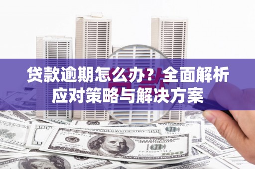 西海岸贷款逾期怎么办？全面解析应对策略与解决方案