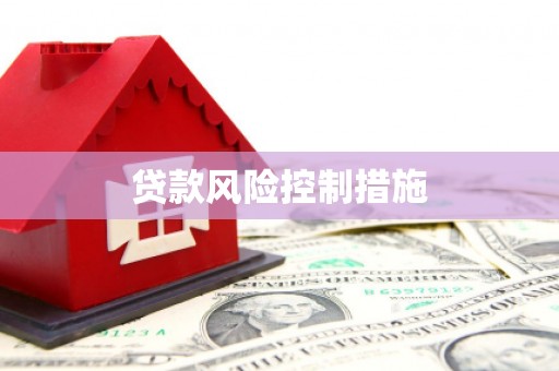 大化贷款风险控制措施