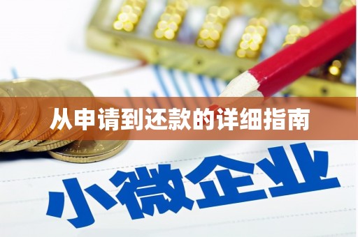 水城从申请到还款的详细指南