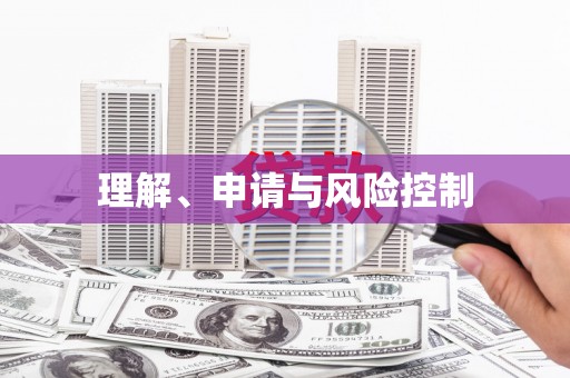 振兴理解、申请与风险控制