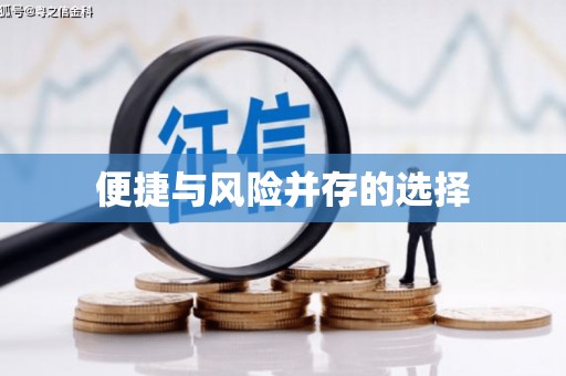 九原便捷与风险并存的选择