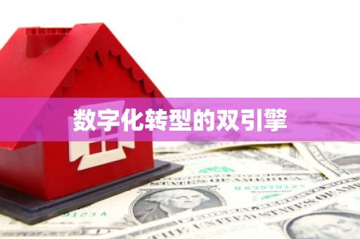 静乐数字化转型的双引擎