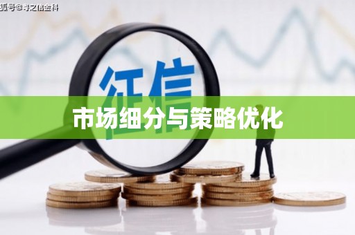 桐城市场细分与策略优化