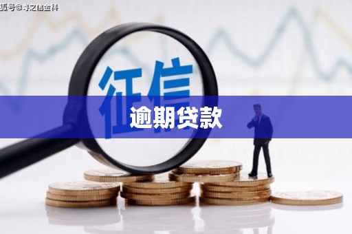 安南逾期贷款