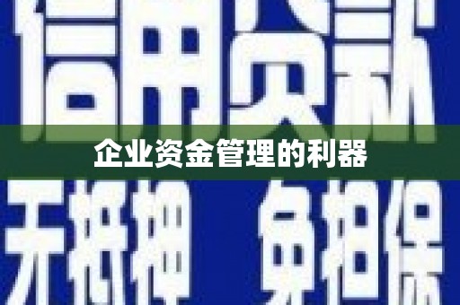 蒙阴企业资金管理的利器