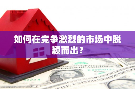 罗山如何在竞争激烈的市场中脱颖而出? 罗山如何在竞争激烈的市场中脱颖而出?