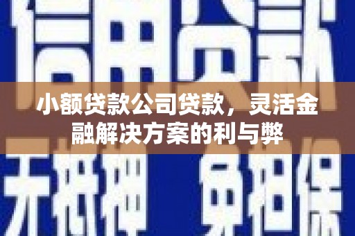 息县小额贷款公司贷款，灵活金融解决方案的利与弊