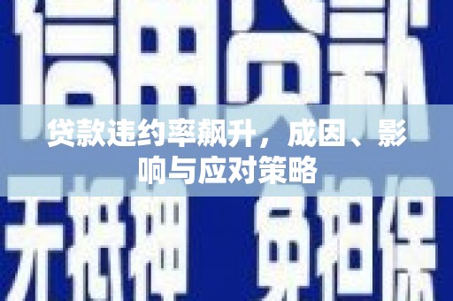 海兴贷款违约率飙升，成因、影响与应对策略